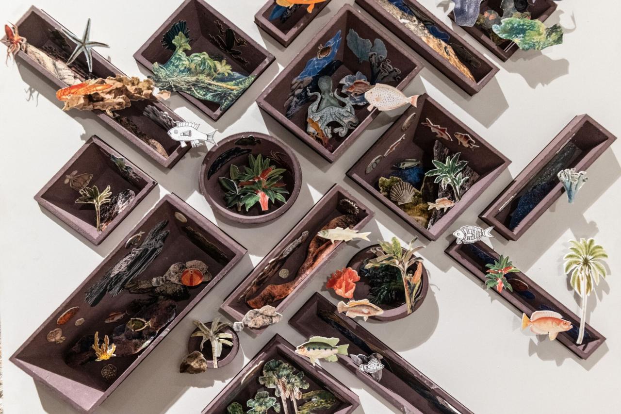 BIM建筑|科尔蒂斯海洋研究中心 / Tatiana Bilbao BIM建筑|科尔蒂斯海洋研究中心 / Tatiana Bilbao