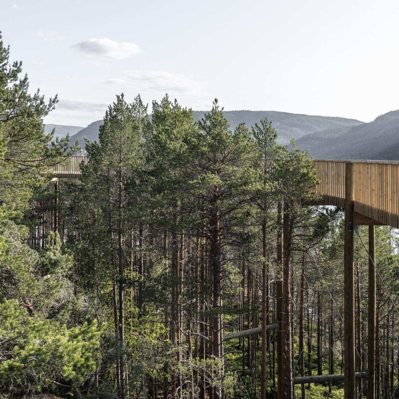 BIM建筑|树顶漫步,Hamaren 活动公园 / EFFEKT BIM建筑|树顶漫步,Hamaren 活动公园 / EFFEKT