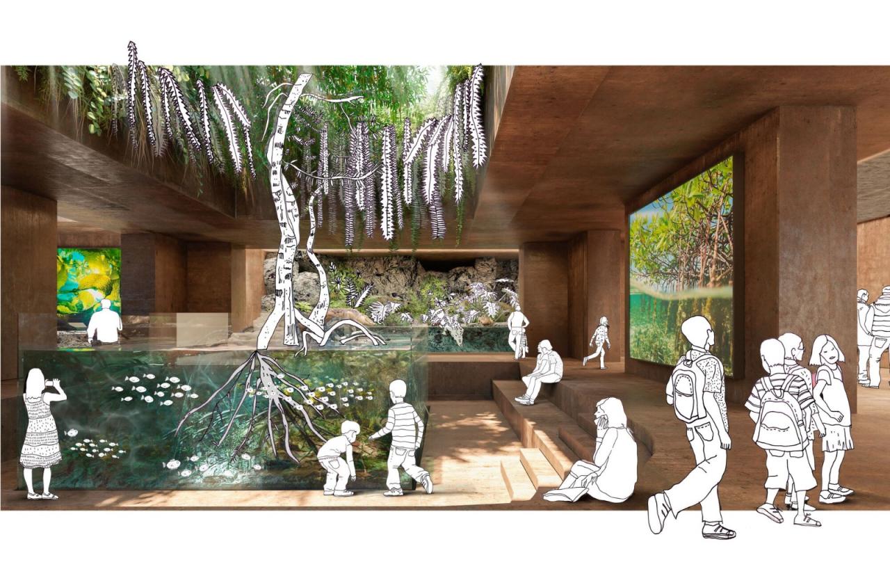 BIM建筑|科尔蒂斯海洋研究中心 / Tatiana Bilbao BIM建筑|科尔蒂斯海洋研究中心 / Tatiana Bilbao