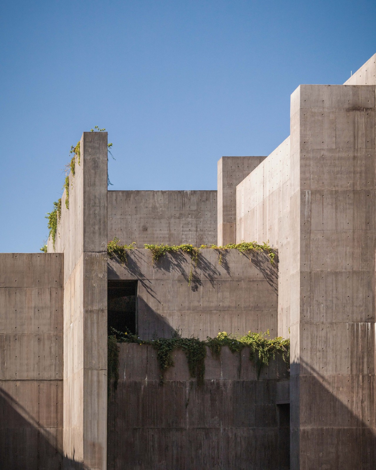 BIM建筑|科尔蒂斯海洋研究中心 / Tatiana Bilbao BIM建筑|科尔蒂斯海洋研究中心 / Tatiana Bilbao