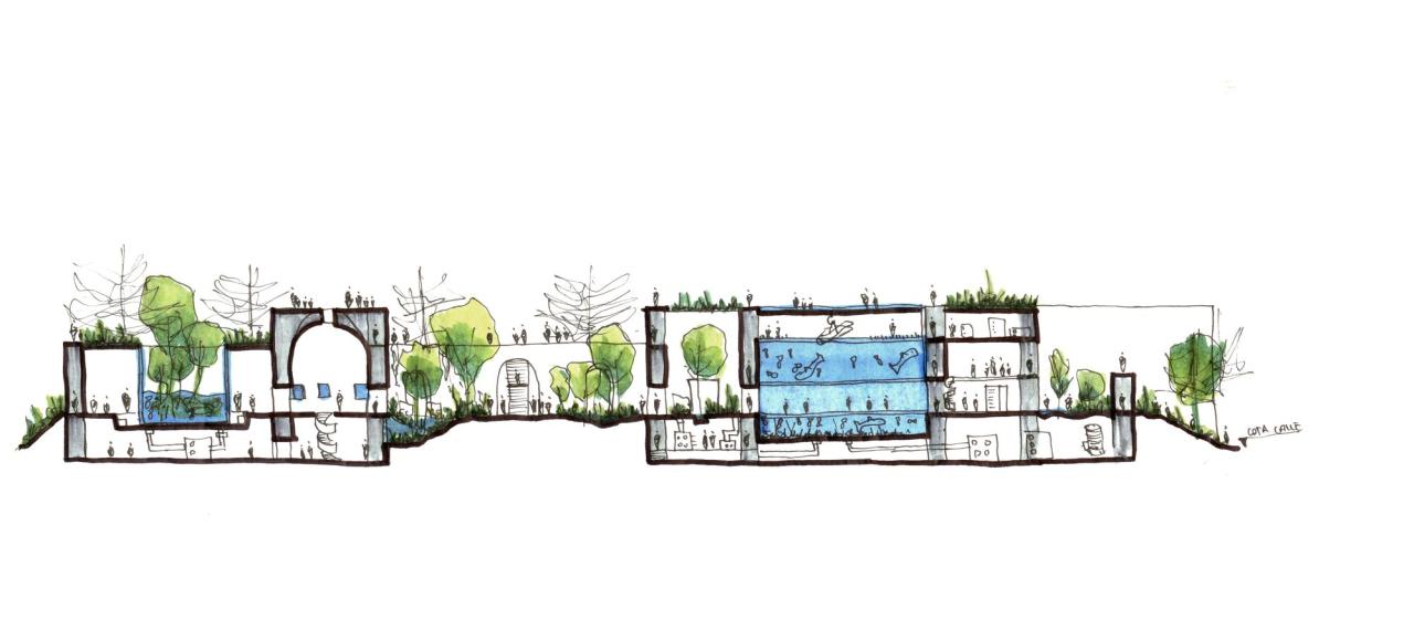 BIM建筑|科尔蒂斯海洋研究中心 / Tatiana Bilbao BIM建筑|科尔蒂斯海洋研究中心 / Tatiana Bilbao