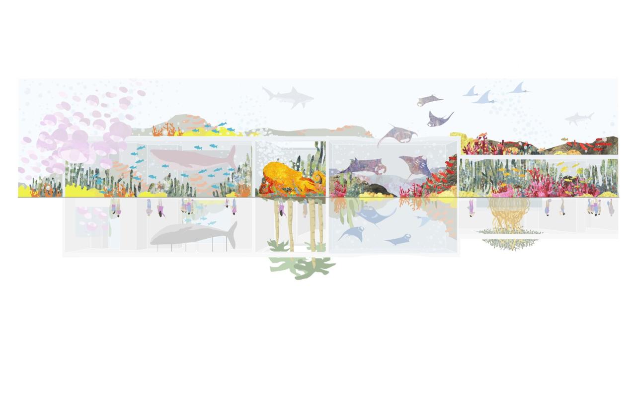 BIM建筑|科尔蒂斯海洋研究中心 / Tatiana Bilbao BIM建筑|科尔蒂斯海洋研究中心 / Tatiana Bilbao