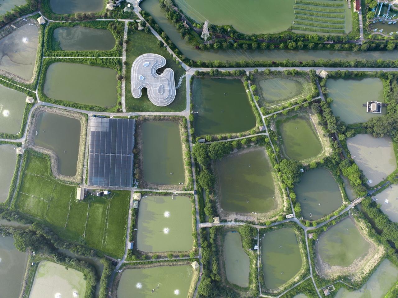 BIM建筑|涟漪:南海区淡水鱼产业技术示范推广中心 / Wutopia Lab BIM建筑|涟漪:南海区淡水鱼产业技术示范推广中心 / Wutopia Lab