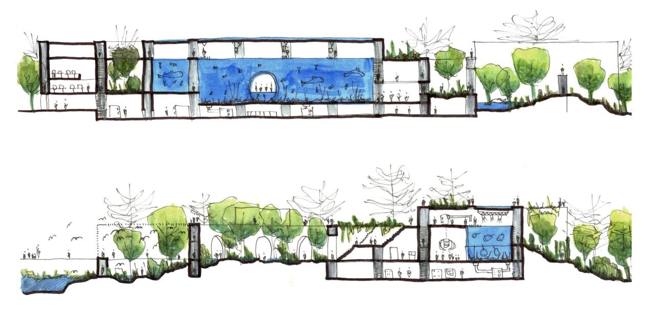 BIM建筑|科尔蒂斯海洋研究中心 / Tatiana Bilbao BIM建筑|科尔蒂斯海洋研究中心 / Tatiana Bilbao