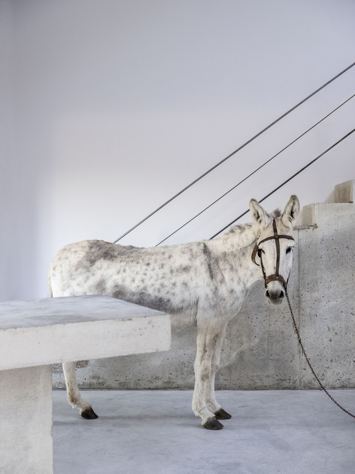 BIM建筑|诺加尔之家 / Raúl Almenara BIM建筑|诺加尔之家 / Raúl Almenara