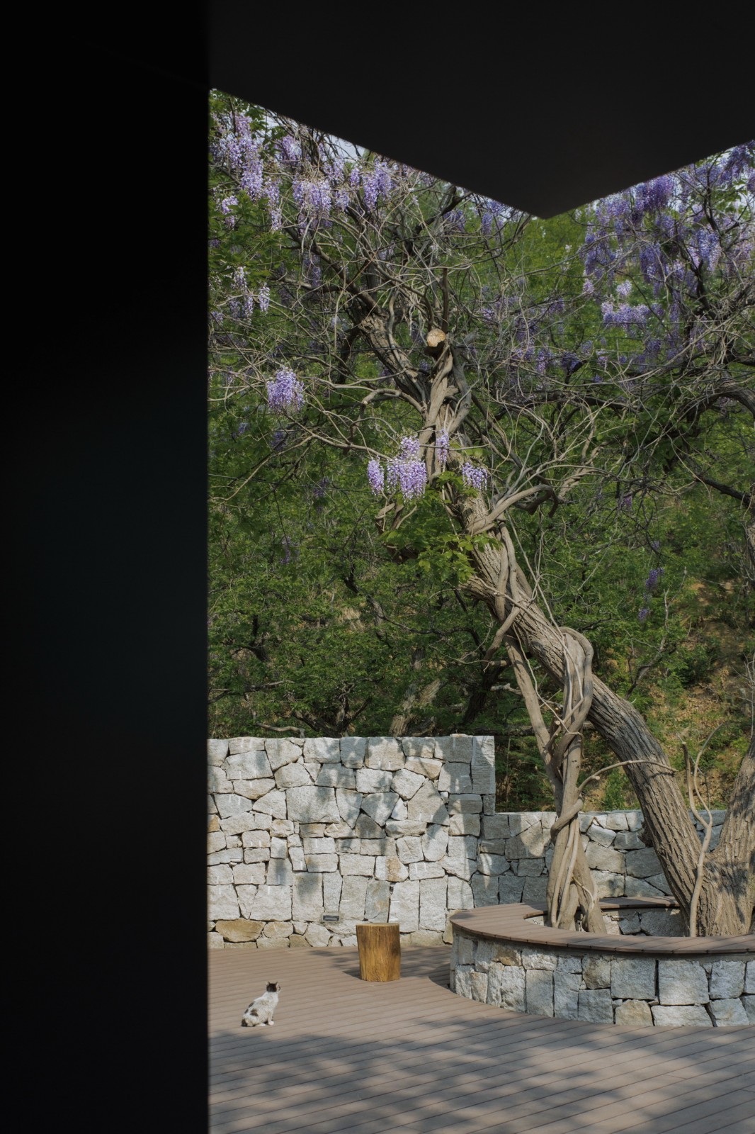 BIM建筑|沂蒙·书舍民宿:板栗树林下的自然再造与共生 / 灰空间建筑事务所 BIM建筑|沂蒙·书舍民宿:板栗树林下的自然再造与共生 / 灰空间建筑事务所