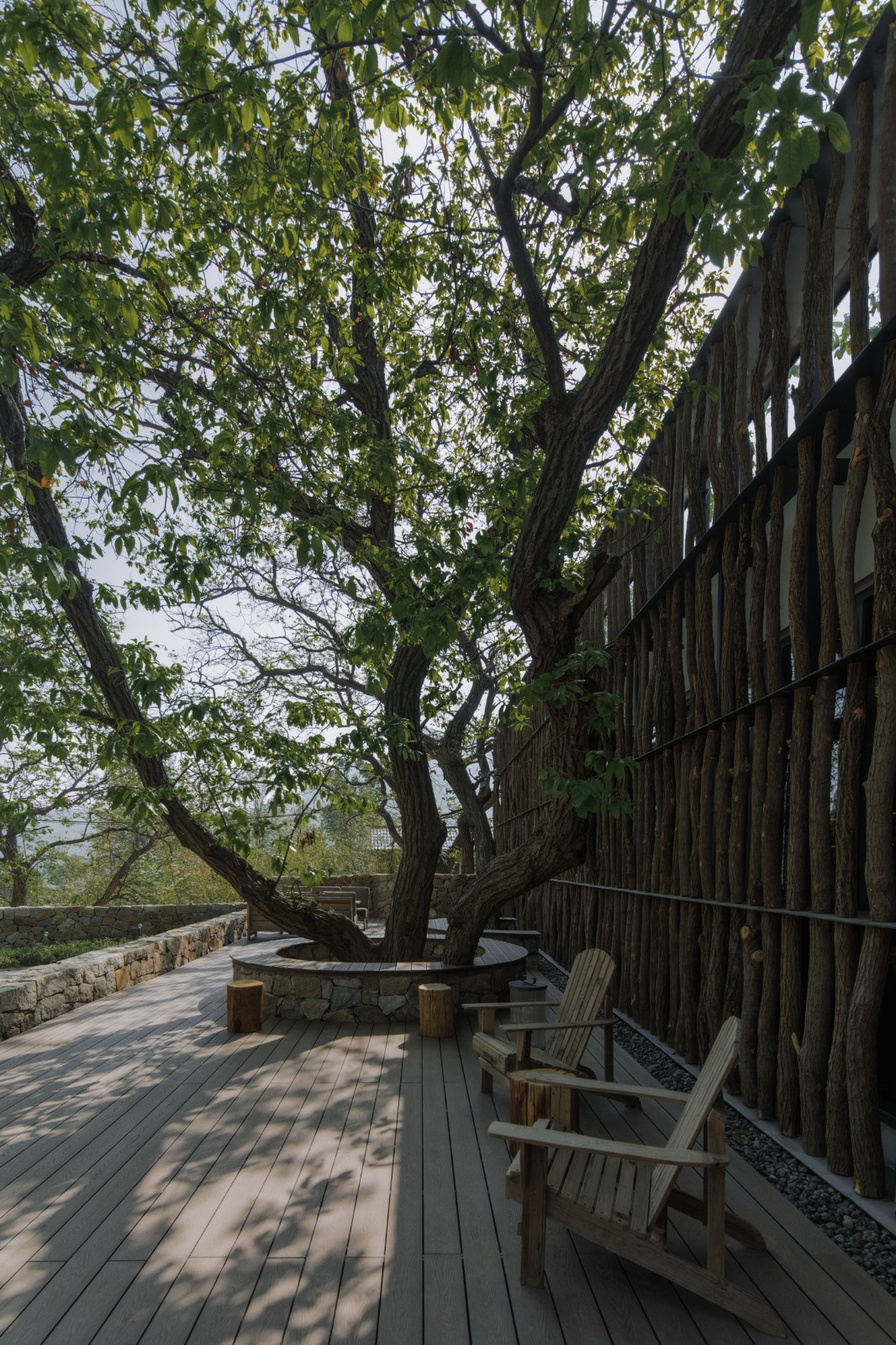 BIM建筑|沂蒙·书舍民宿:板栗树林下的自然再造与共生 / 灰空间建筑事务所 BIM建筑|沂蒙·书舍民宿:板栗树林下的自然再造与共生 / 灰空间建筑事务所