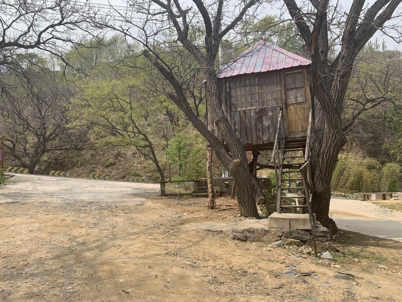 BIM建筑|沂蒙·书舍民宿:板栗树林下的自然再造与共生 / 灰空间建筑事务所 BIM建筑|沂蒙·书舍民宿:板栗树林下的自然再造与共生 / 灰空间建筑事务所