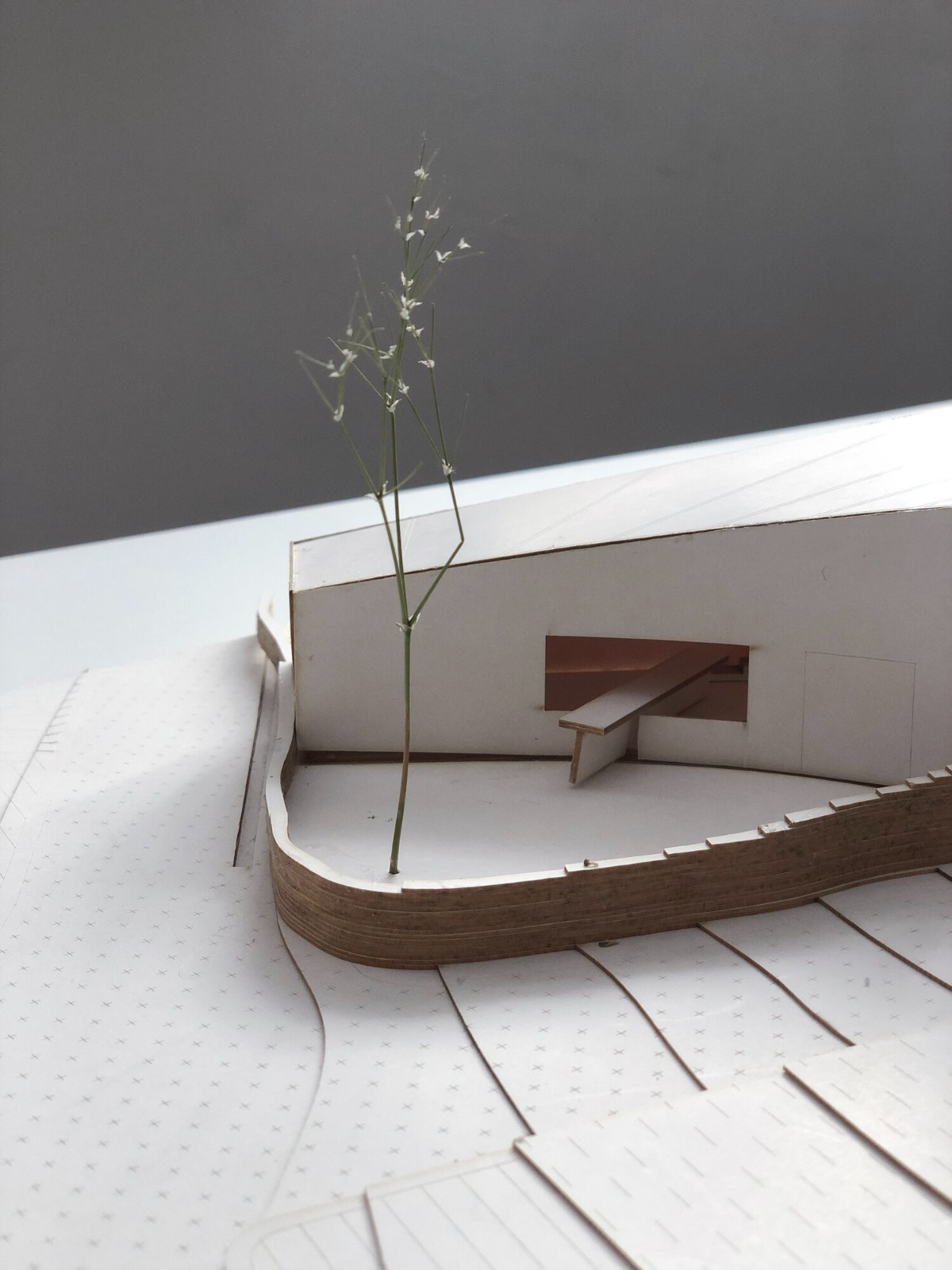 BIM建筑|诺加尔之家 / Raúl Almenara BIM建筑|诺加尔之家 / Raúl Almenara