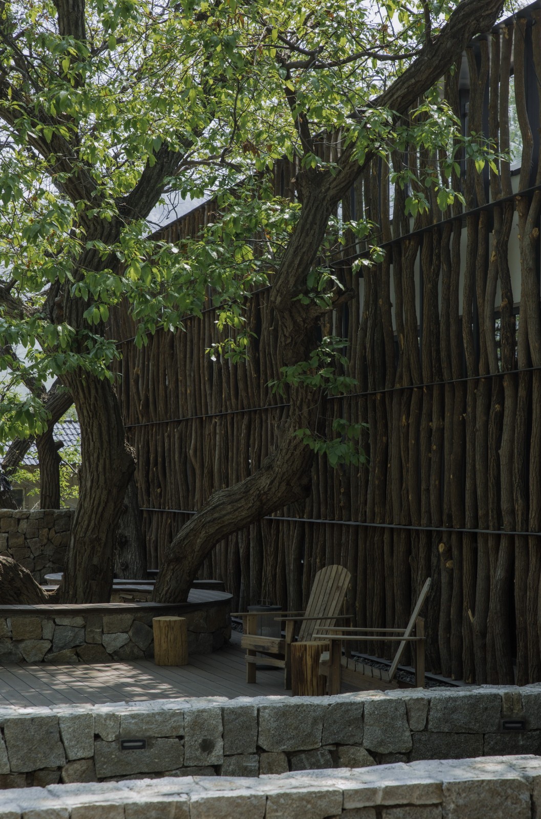 BIM建筑|沂蒙·书舍民宿:板栗树林下的自然再造与共生 / 灰空间建筑事务所 BIM建筑|沂蒙·书舍民宿:板栗树林下的自然再造与共生 / 灰空间建筑事务所