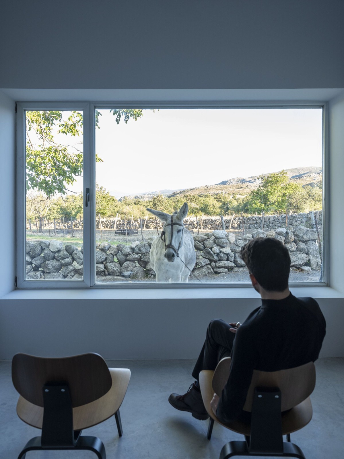 BIM建筑|诺加尔之家 / Raúl Almenara BIM建筑|诺加尔之家 / Raúl Almenara