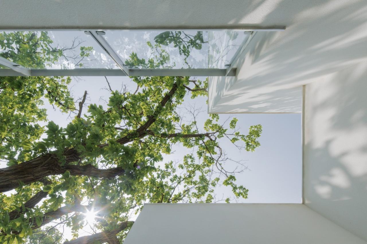 BIM建筑|沂蒙·书舍民宿:板栗树林下的自然再造与共生 / 灰空间建筑事务所 BIM建筑|沂蒙·书舍民宿:板栗树林下的自然再造与共生 / 灰空间建筑事务所