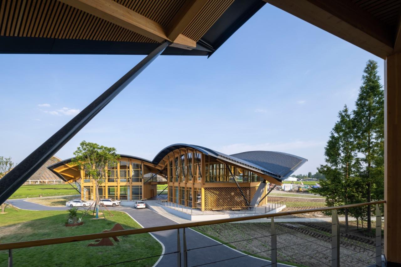 BIM建筑|天府农博园青苗 / 中建西南院 BIM建筑|天府农博园青苗 / 中建西南院