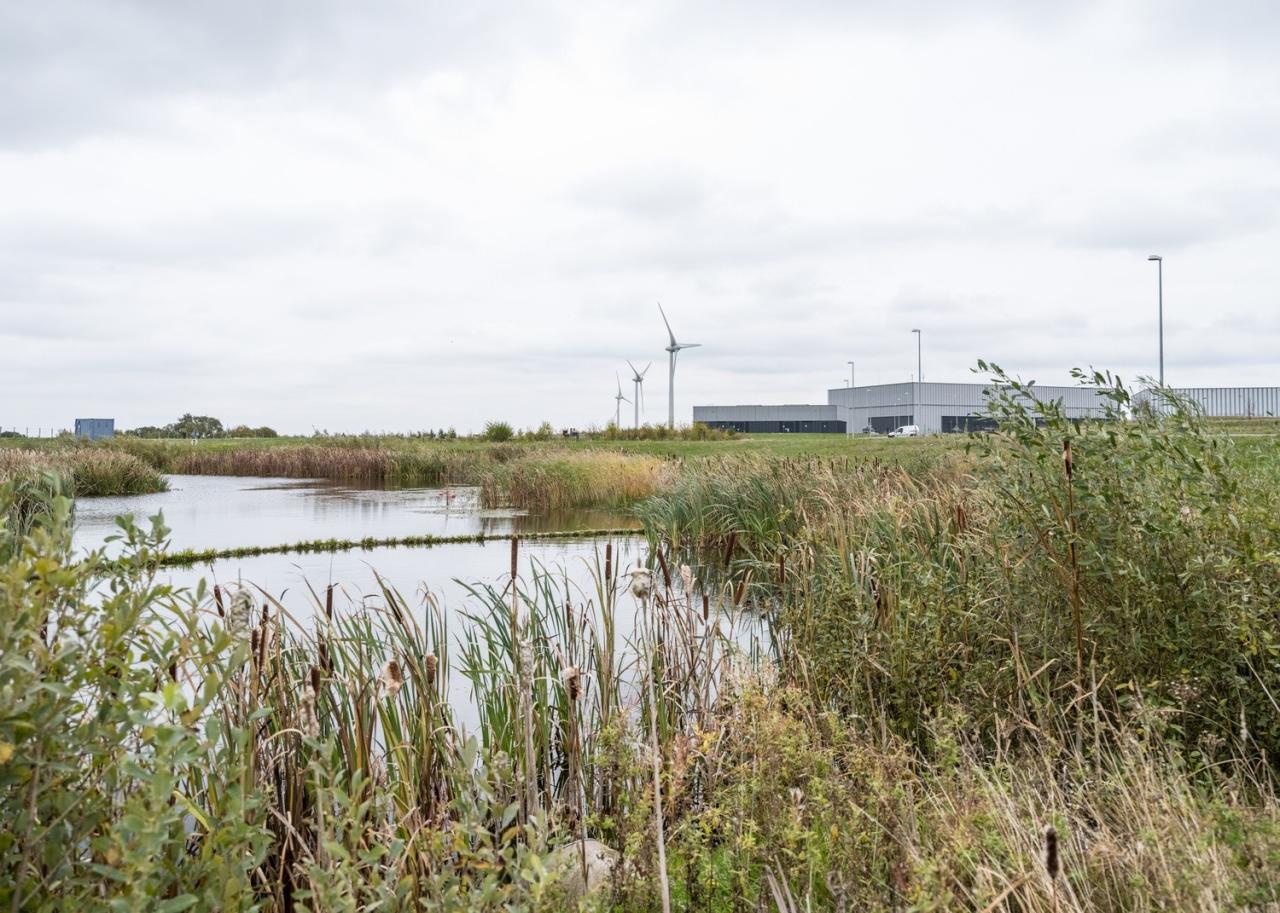 BIM建筑|欧洲散裂中子源研究室 / Henning Larsen + Cobe + Buro Happold + SLA Architects BIM建筑|欧洲散裂中子源研究室 / Henning Larsen + Cobe + Buro Happold + SLA Architects