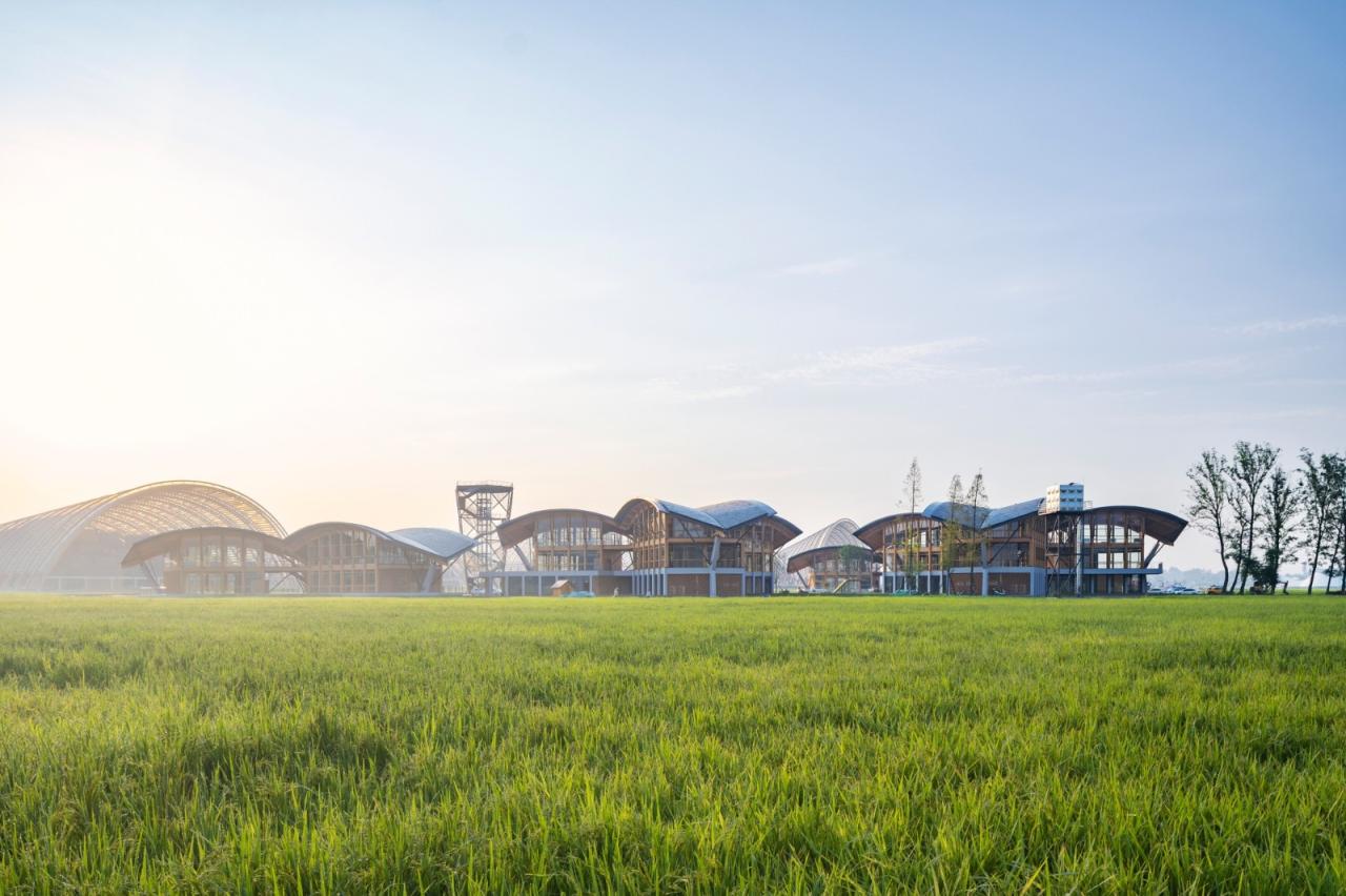 BIM建筑|天府农博园青苗 / 中建西南院 BIM建筑|天府农博园青苗 / 中建西南院