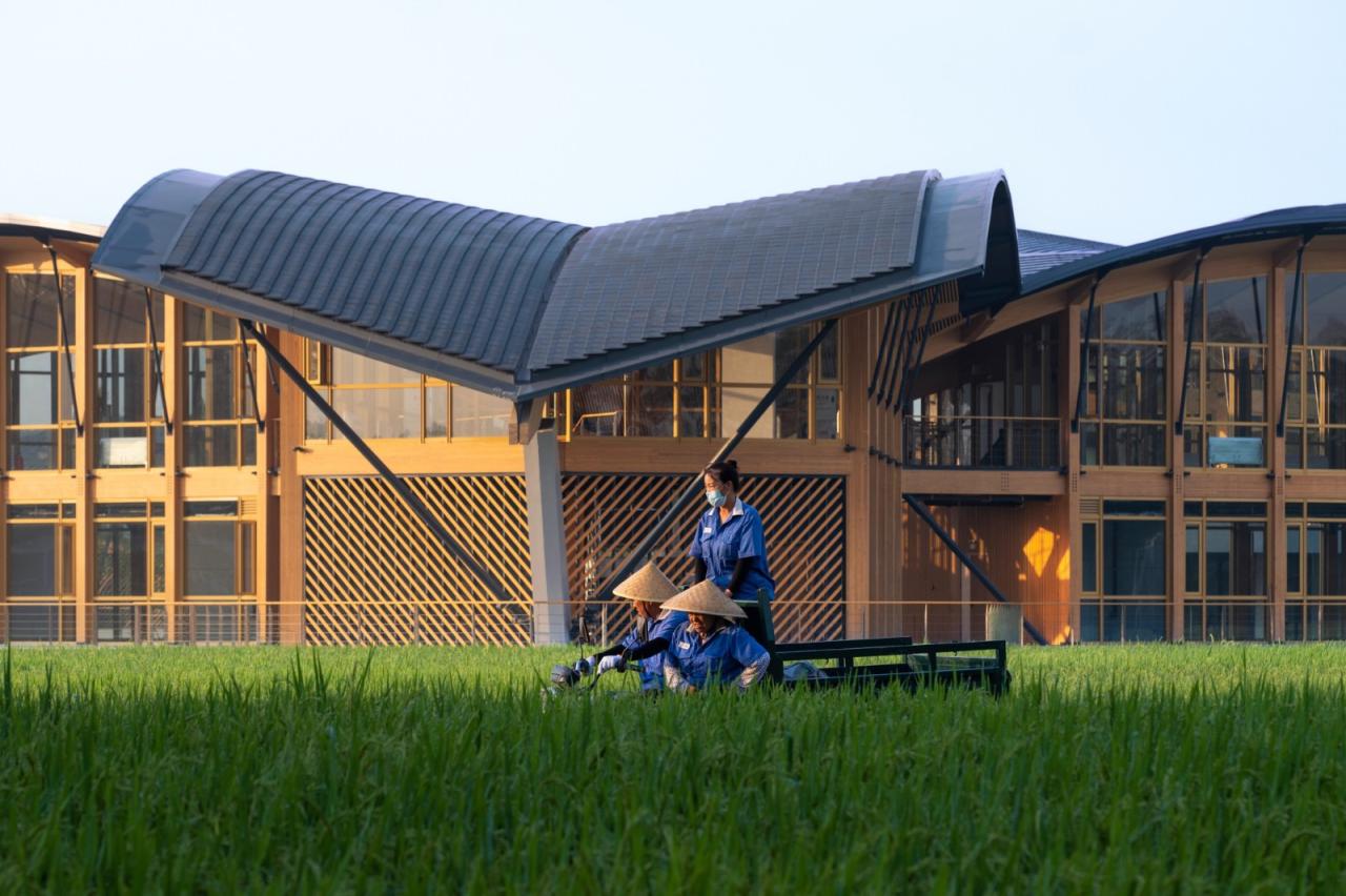 BIM建筑|天府农博园青苗 / 中建西南院 BIM建筑|天府农博园青苗 / 中建西南院