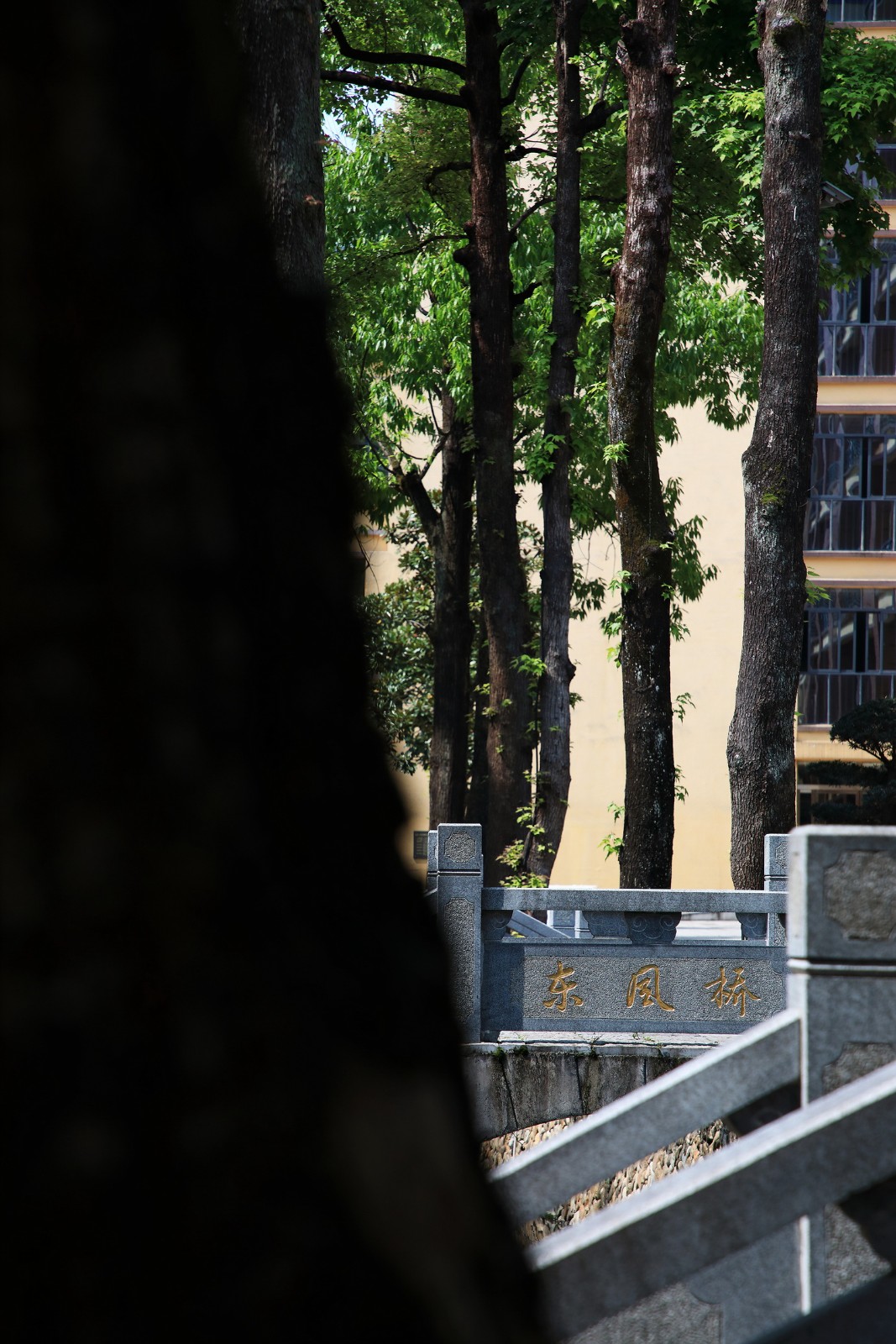 BIM建筑|一座深藏在云和小县城的校史馆 / 丰间建筑事务所 BIM建筑|一座深藏在云和小县城的校史馆 / 丰间建筑事务所