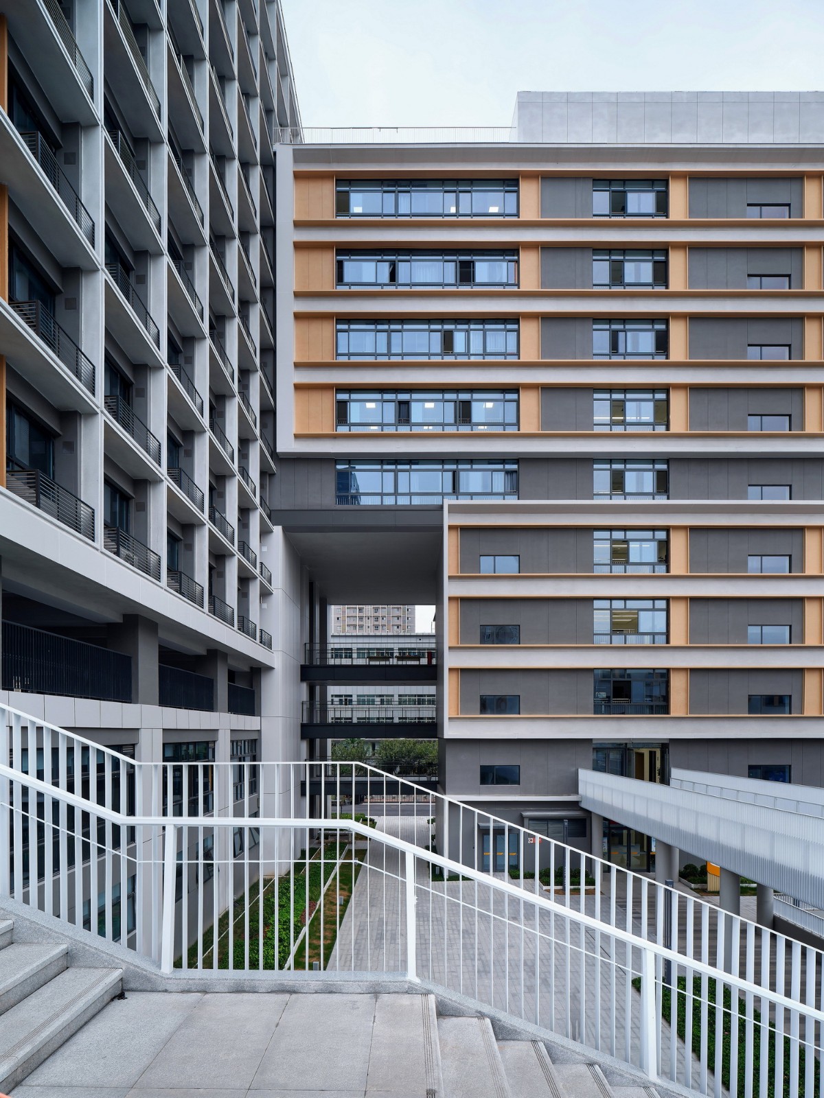 BIM建筑|西安高新第一中学(高中部)改扩建 / 中国建筑西北设计研究院 屈培青工作室 BIM建筑|西安高新第一中学(高中部)改扩建 / 中国建筑西北设计研究院 屈培青工作室