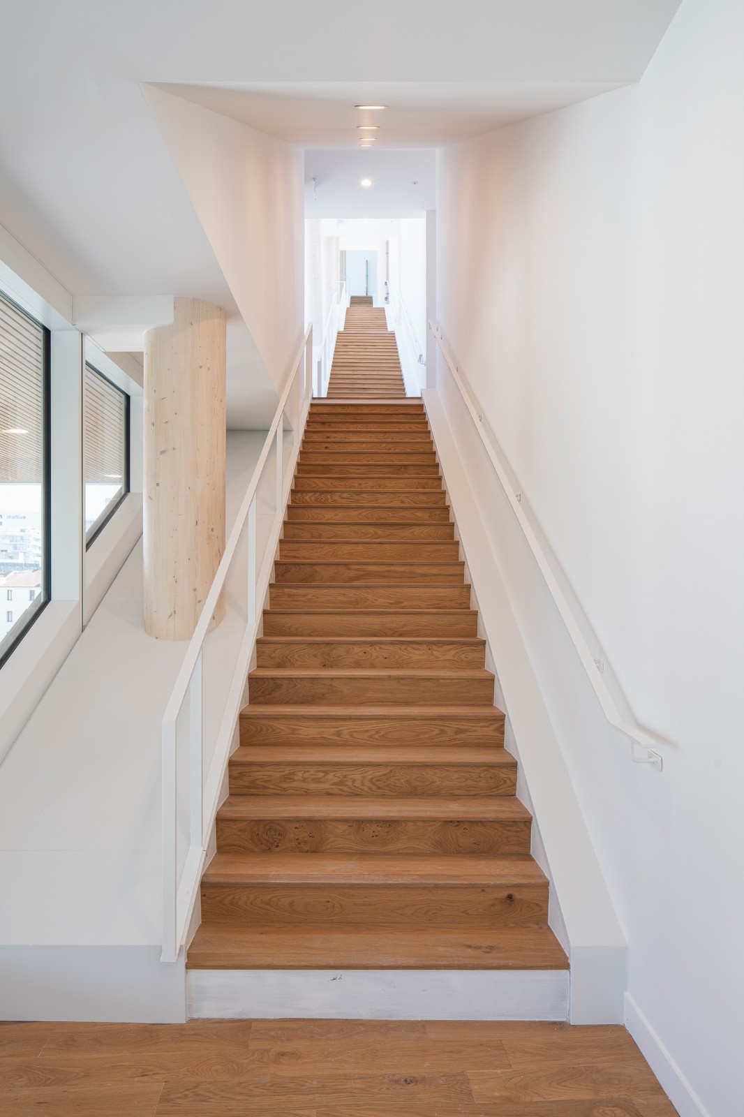 BIM建筑|奇妙大楼 / Coldefy BIM建筑|奇妙大楼 / Coldefy