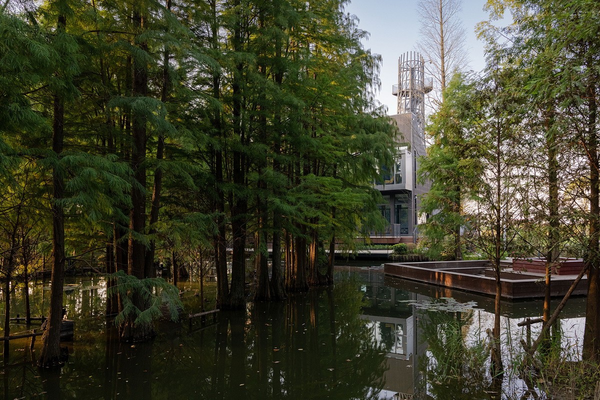 BIM建筑|桐乡濮院红旗漾杉林部落共享餐厅 / 上海严旸建筑设计工作室 BIM建筑|桐乡濮院红旗漾杉林部落共享餐厅 / 上海严旸建筑设计工作室