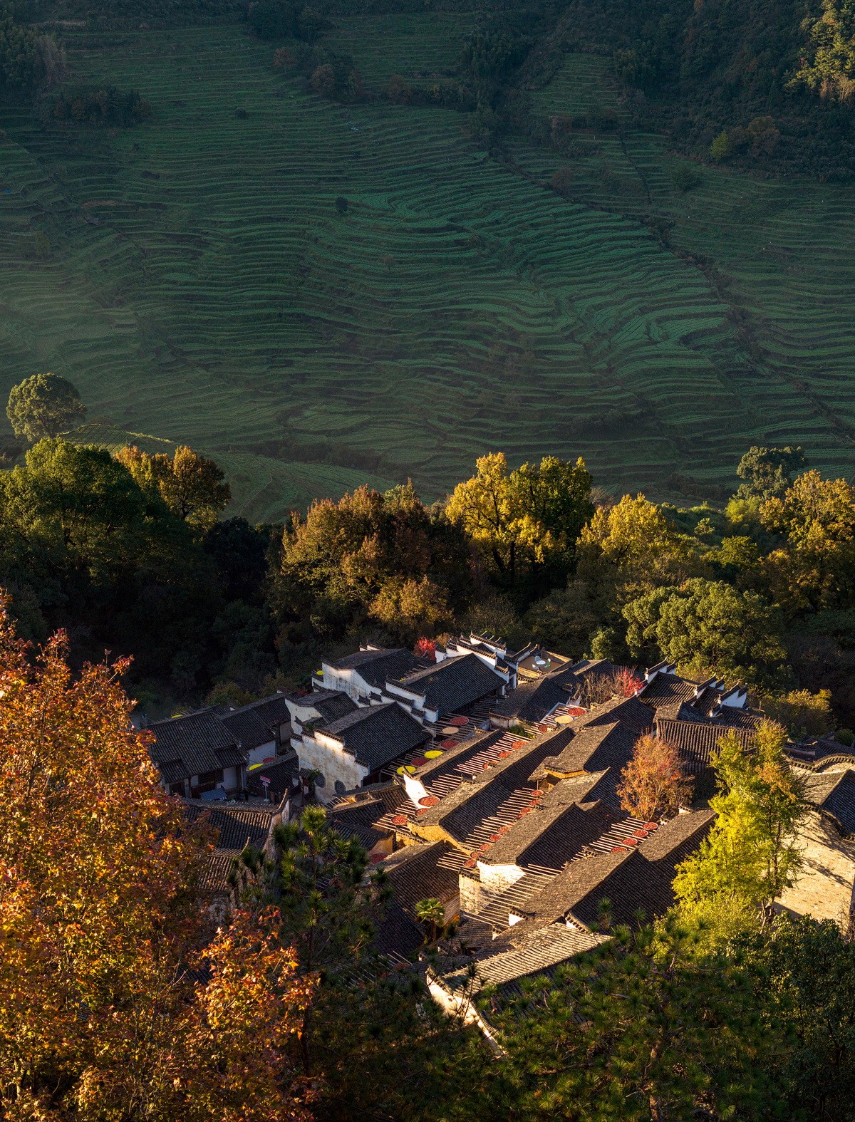 BIM建筑|村庄文化:一砖一瓦,寻回乡愁,婺源篁岭营造记 / 婺源县村庄文化传媒有限公司 BIM建筑|村庄文化:一砖一瓦,寻回乡愁,婺源篁岭营造记 / 婺源县村庄文化传媒有限公司