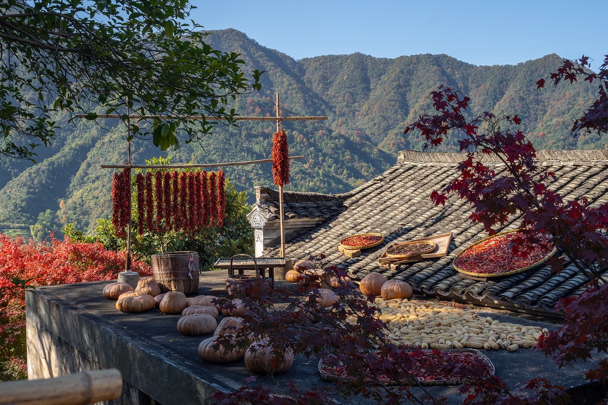 BIM建筑|村庄文化:一砖一瓦,寻回乡愁,婺源篁岭营造记 / 婺源县村庄文化传媒有限公司 BIM建筑|村庄文化:一砖一瓦,寻回乡愁,婺源篁岭营造记 / 婺源县村庄文化传媒有限公司