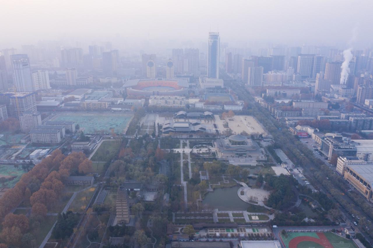 BIM建筑|安仁坊遗址展示厅与安仁驿馆 / 上海秉仁建筑师事务所 BIM建筑|安仁坊遗址展示厅与安仁驿馆 / 上海秉仁建筑师事务所