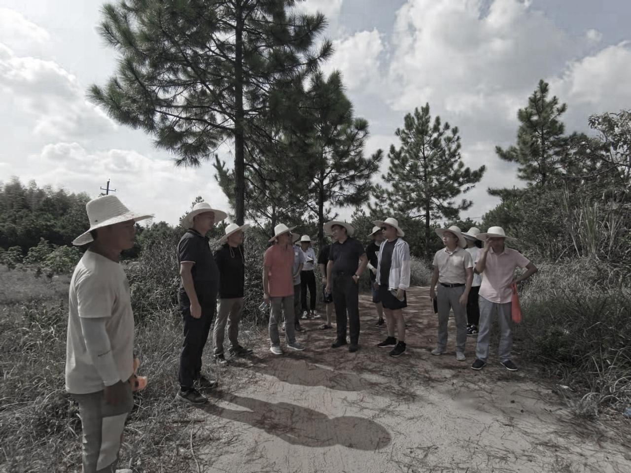 BIM建筑|村庄文化:一砖一瓦,寻回乡愁,婺源篁岭营造记 / 婺源县村庄文化传媒有限公司 BIM建筑|村庄文化:一砖一瓦,寻回乡愁,婺源篁岭营造记 / 婺源县村庄文化传媒有限公司