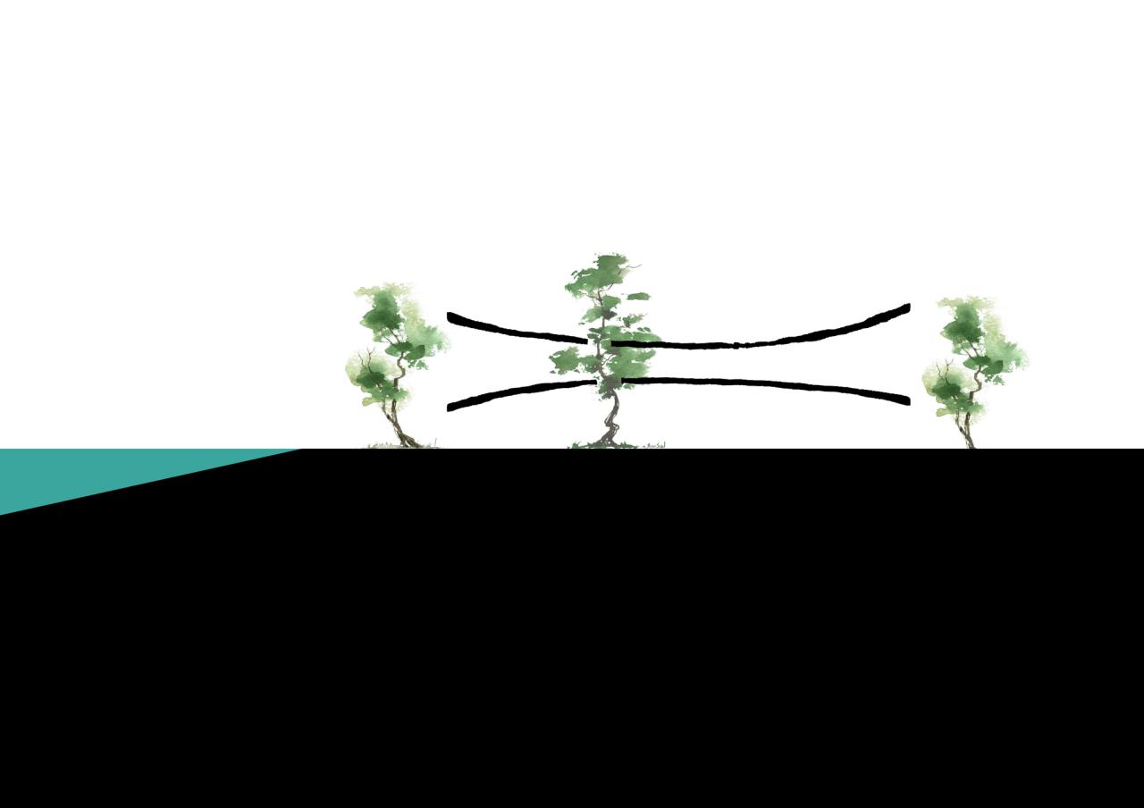 BIM建筑|世纪海角商业街 / 大料建筑 BIM建筑|世纪海角商业街 / 大料建筑