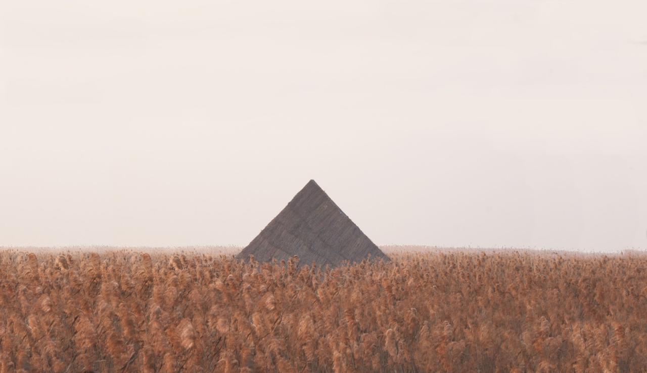 BIM建筑|疗愈之“山” / 杜扬工作室 BIM建筑|疗愈之“山” / 杜扬工作室