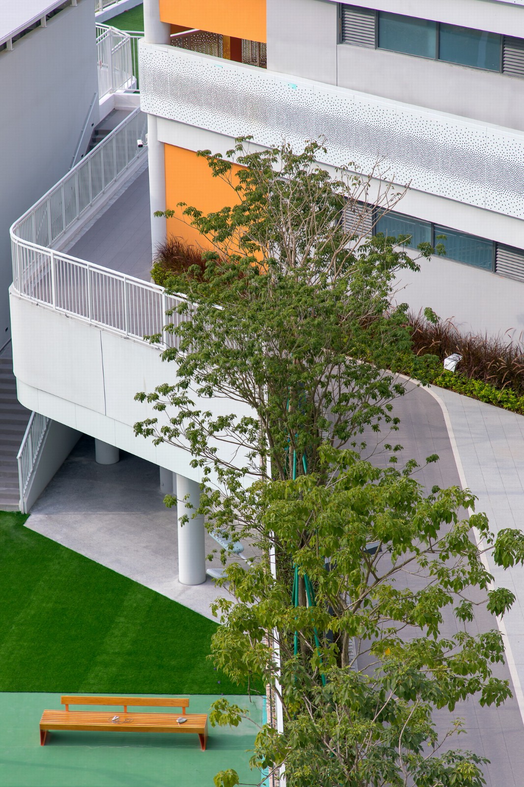 BIM建筑|南方科技大学附属实验学校 / 立方设计 BIM建筑|南方科技大学附属实验学校 / 立方设计