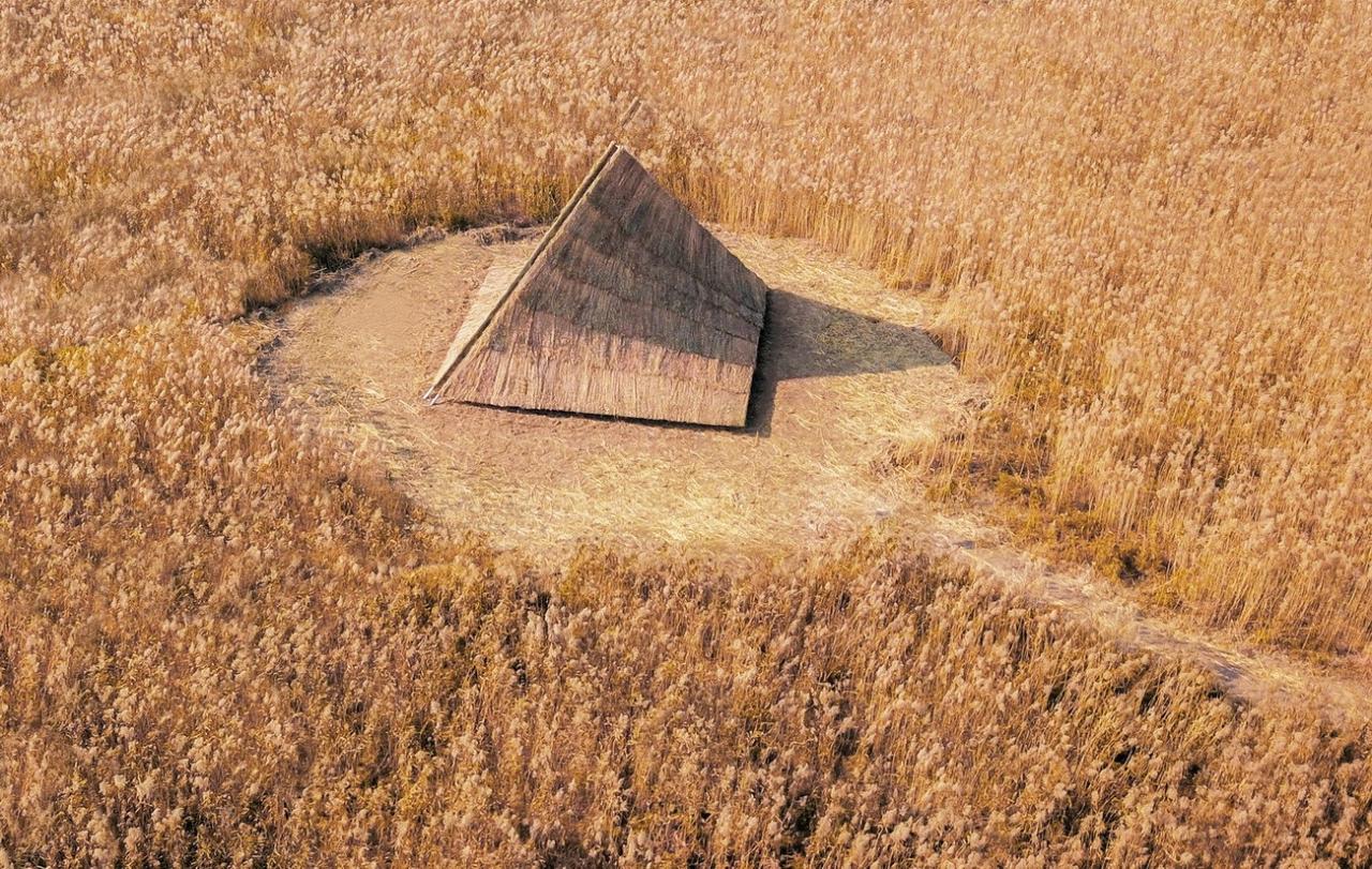 BIM建筑|疗愈之“山” / 杜扬工作室 BIM建筑|疗愈之“山” / 杜扬工作室