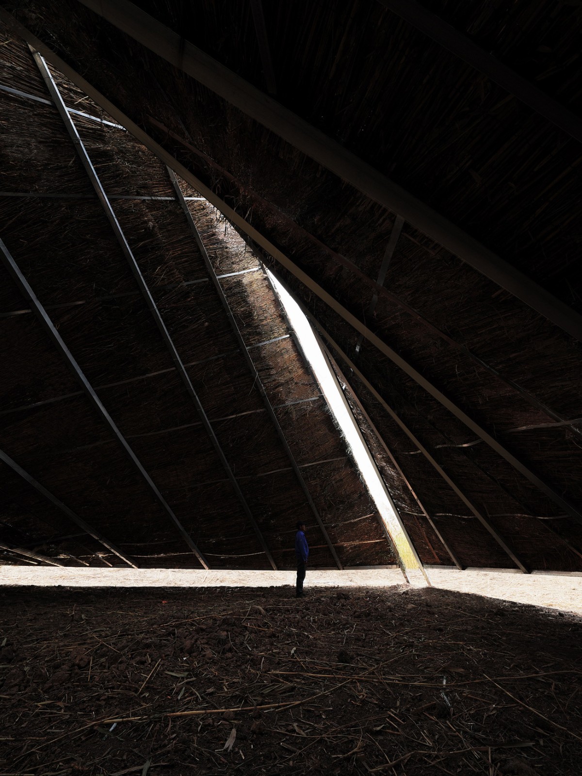 BIM建筑|疗愈之“山” / 杜扬工作室 BIM建筑|疗愈之“山” / 杜扬工作室