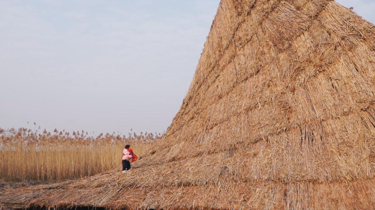 BIM建筑|疗愈之“山” / 杜扬工作室 BIM建筑|疗愈之“山” / 杜扬工作室