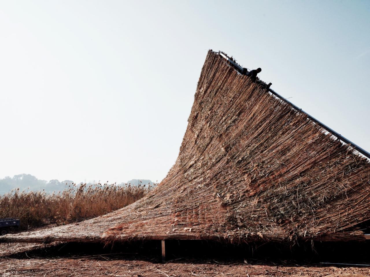 BIM建筑|疗愈之“山” / 杜扬工作室 BIM建筑|疗愈之“山” / 杜扬工作室