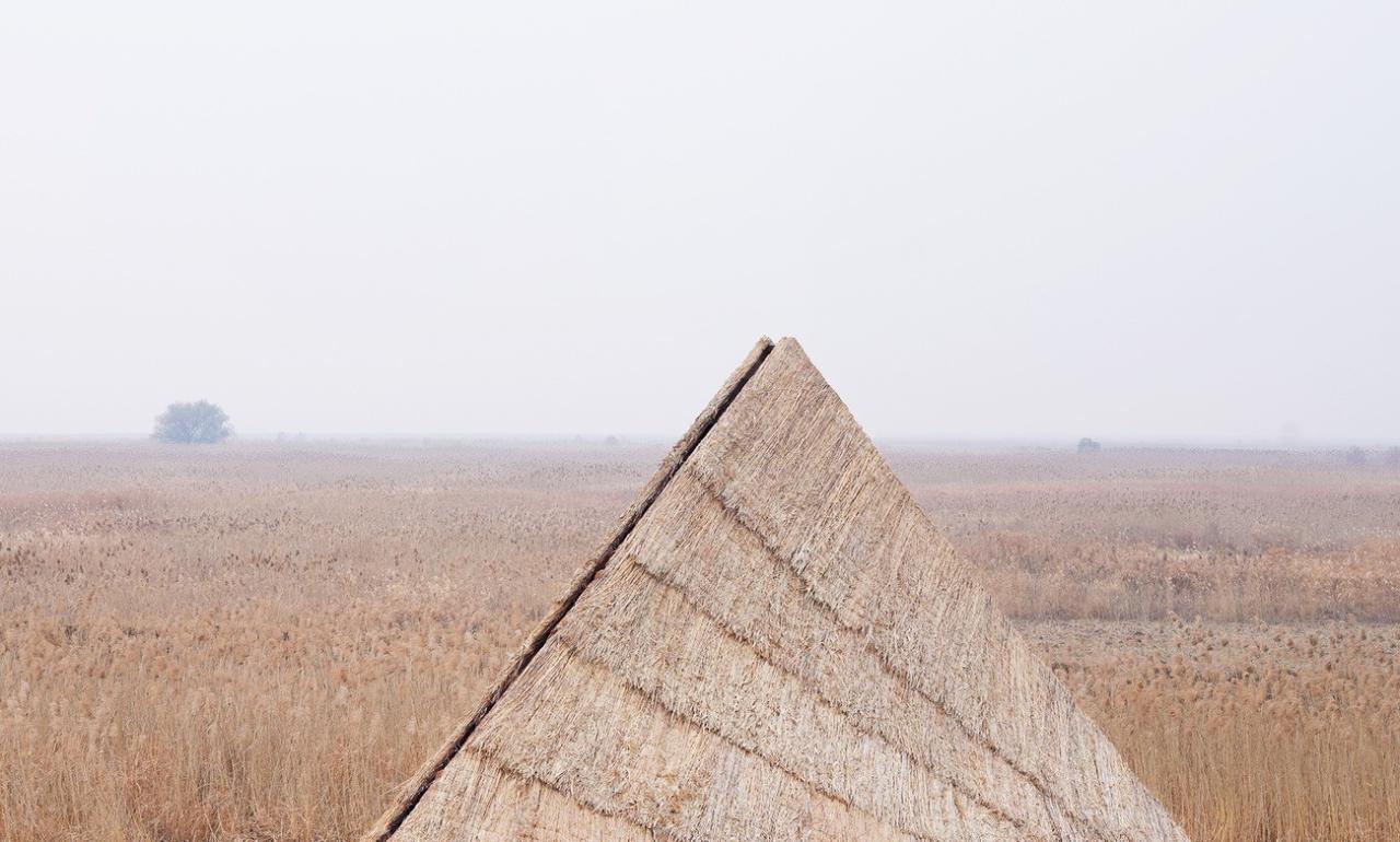 BIM建筑|疗愈之“山” / 杜扬工作室 BIM建筑|疗愈之“山” / 杜扬工作室