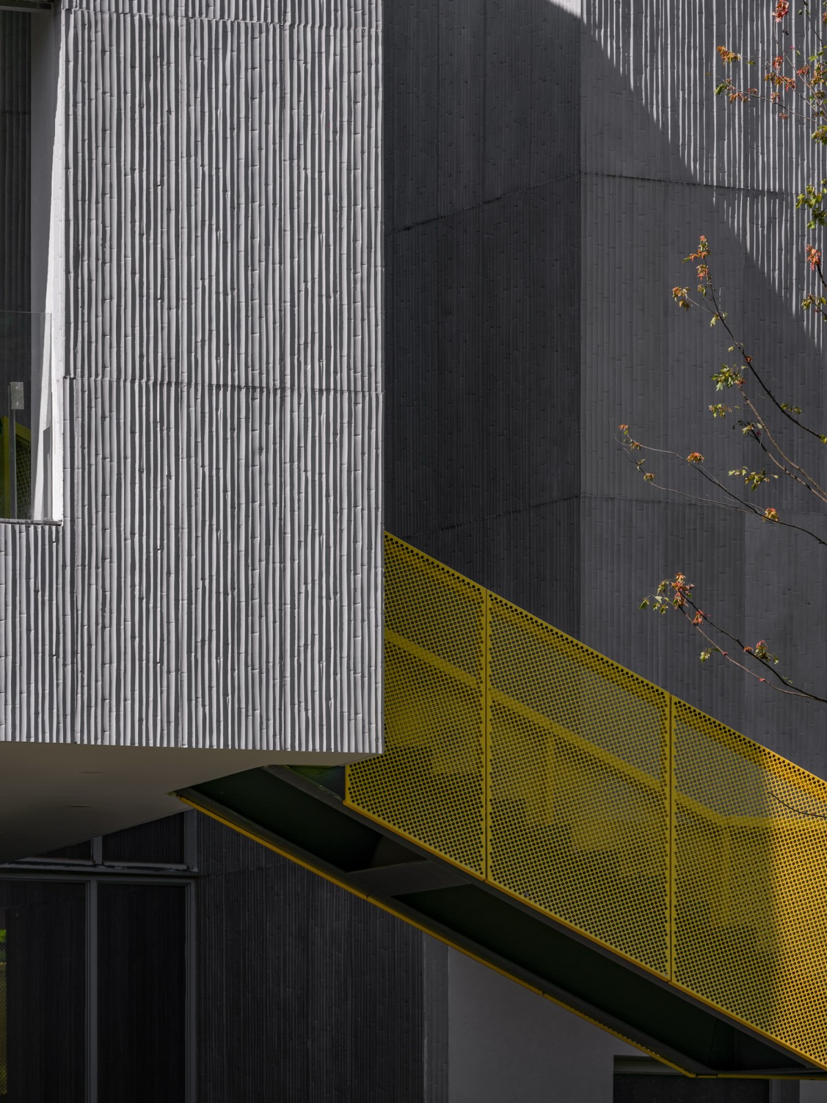 BIM建筑|基于空间叙事的乡村建筑改造实践探索 / 上海交通大学设计学院杜春宇团队 BIM建筑|基于空间叙事的乡村建筑改造实践探索 / 上海交通大学设计学院杜春宇团队