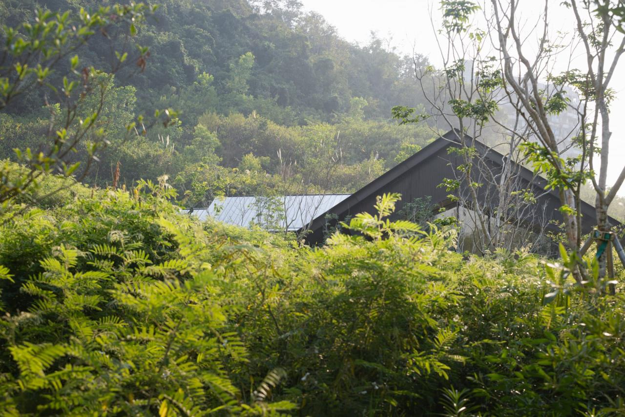 BIM建筑|三亚山谷餐厅(森海·四葉) / PLAT ASIA BIM建筑|三亚山谷餐厅(森海·四葉) / PLAT ASIA