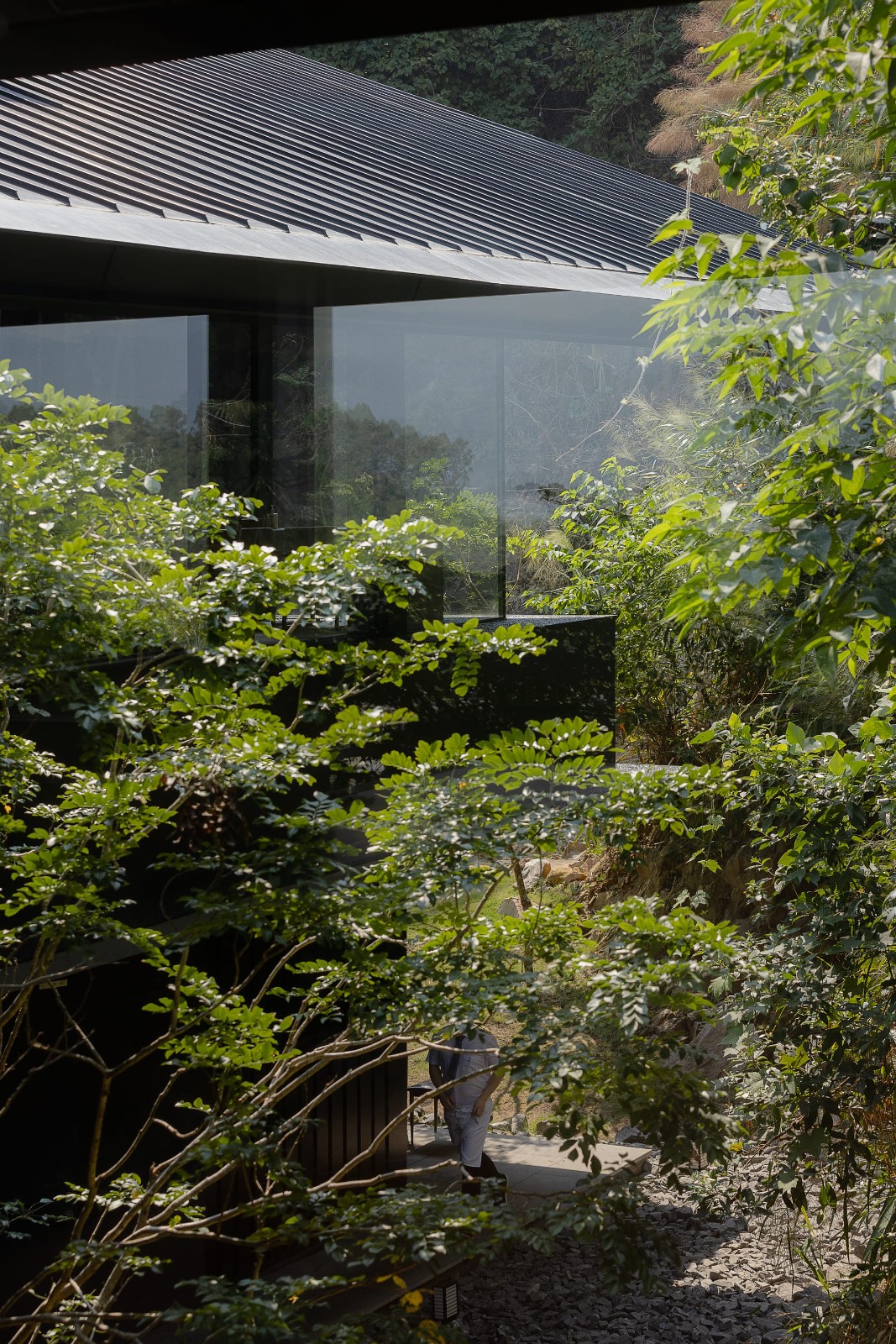 BIM建筑|三亚山谷餐厅(森海·四葉) / PLAT ASIA BIM建筑|三亚山谷餐厅(森海·四葉) / PLAT ASIA