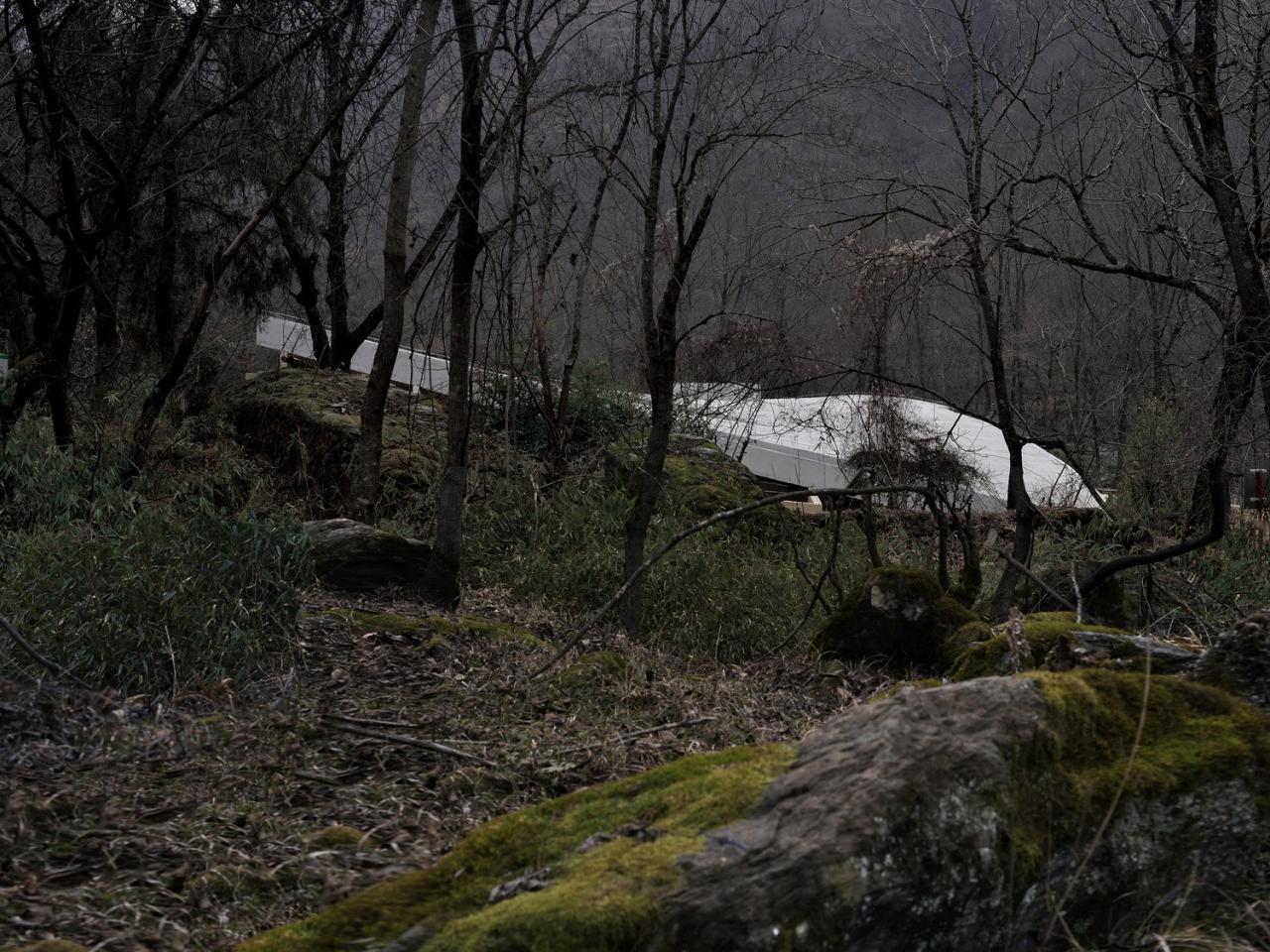 BIM建筑|唐家河自然教育中心 / 合造社建筑设计 BIM建筑|唐家河自然教育中心 / 合造社建筑设计