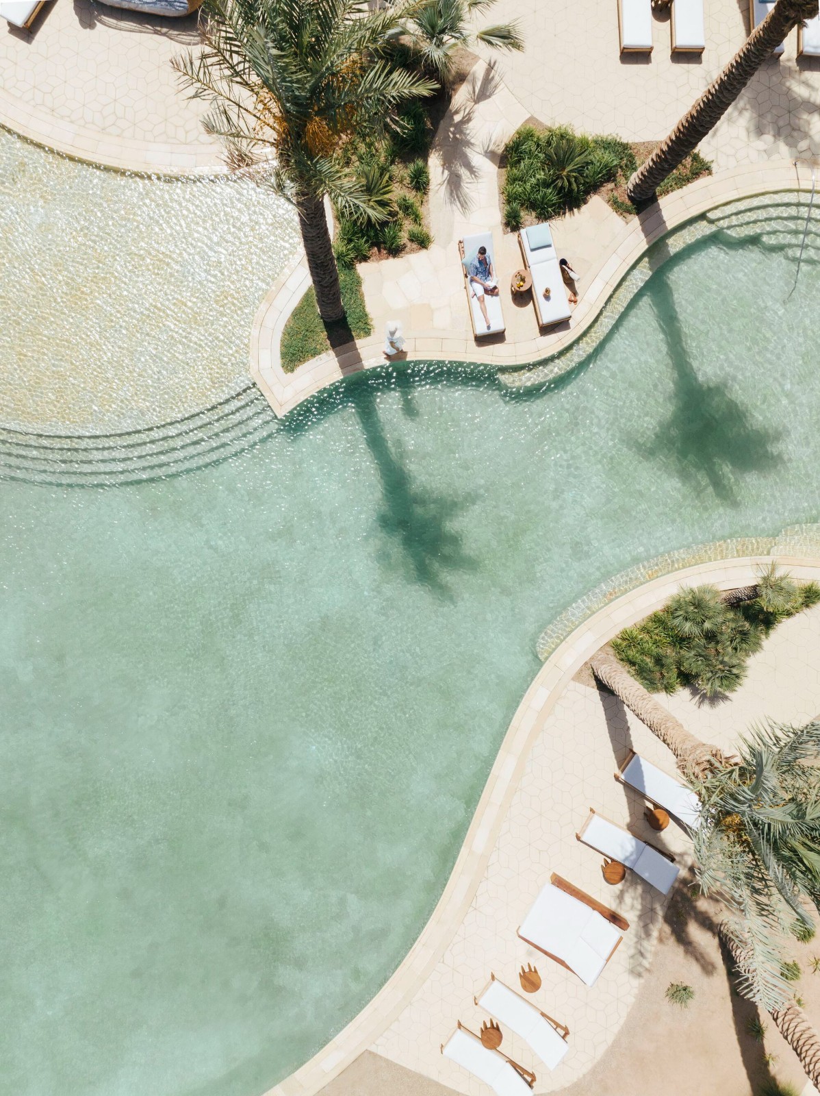 BIM建筑|红海南部沙丘六善酒店 / 福斯特建筑事务所 BIM建筑|红海南部沙丘六善酒店 / 福斯特建筑事务所