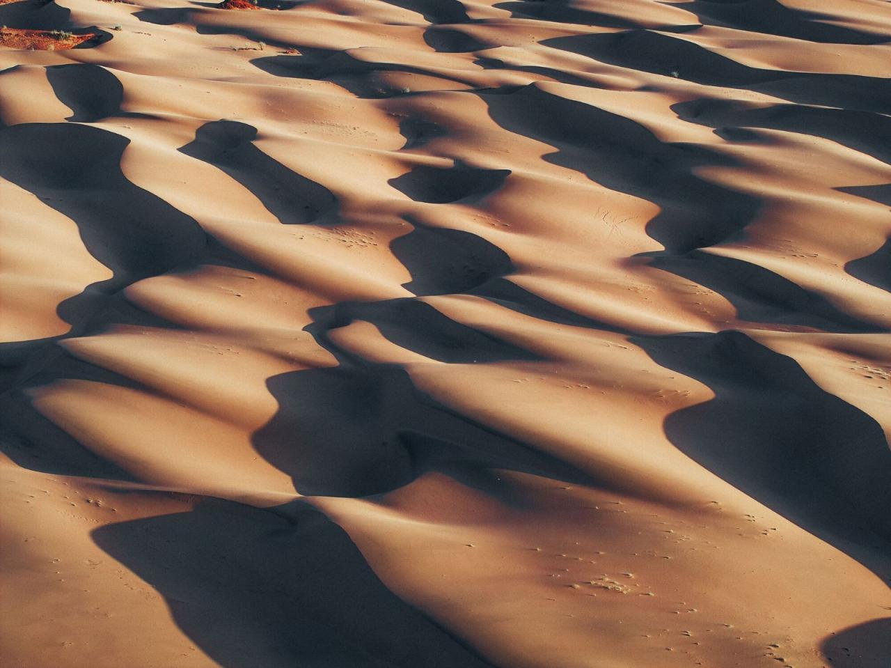 BIM建筑|红海南部沙丘六善酒店 / 福斯特建筑事务所 BIM建筑|红海南部沙丘六善酒店 / 福斯特建筑事务所