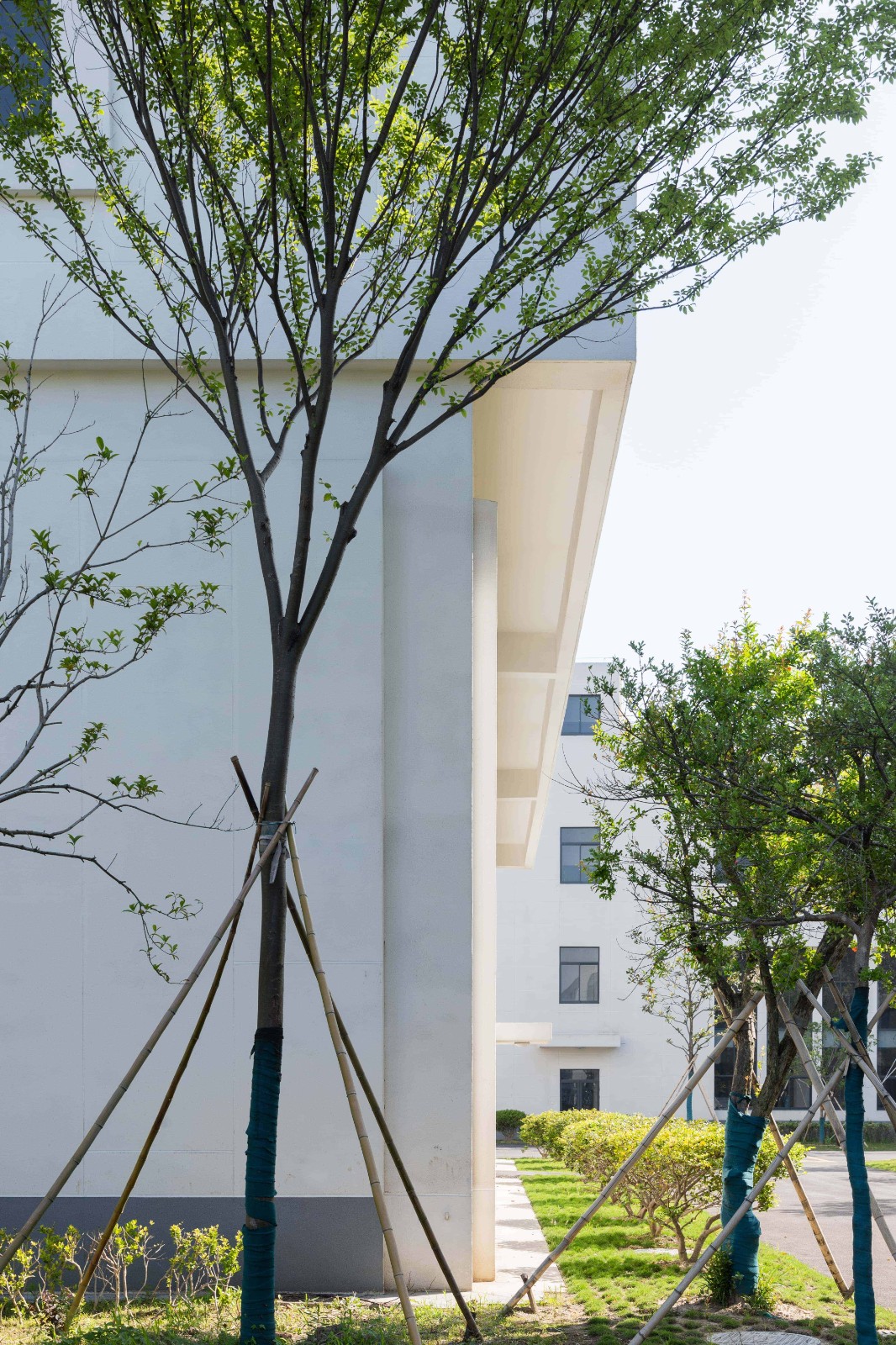 BIM建筑|美术馆语境下的温情工厂/ 田字格建筑事务所 BIM建筑|美术馆语境下的温情工厂/ 田字格建筑事务所