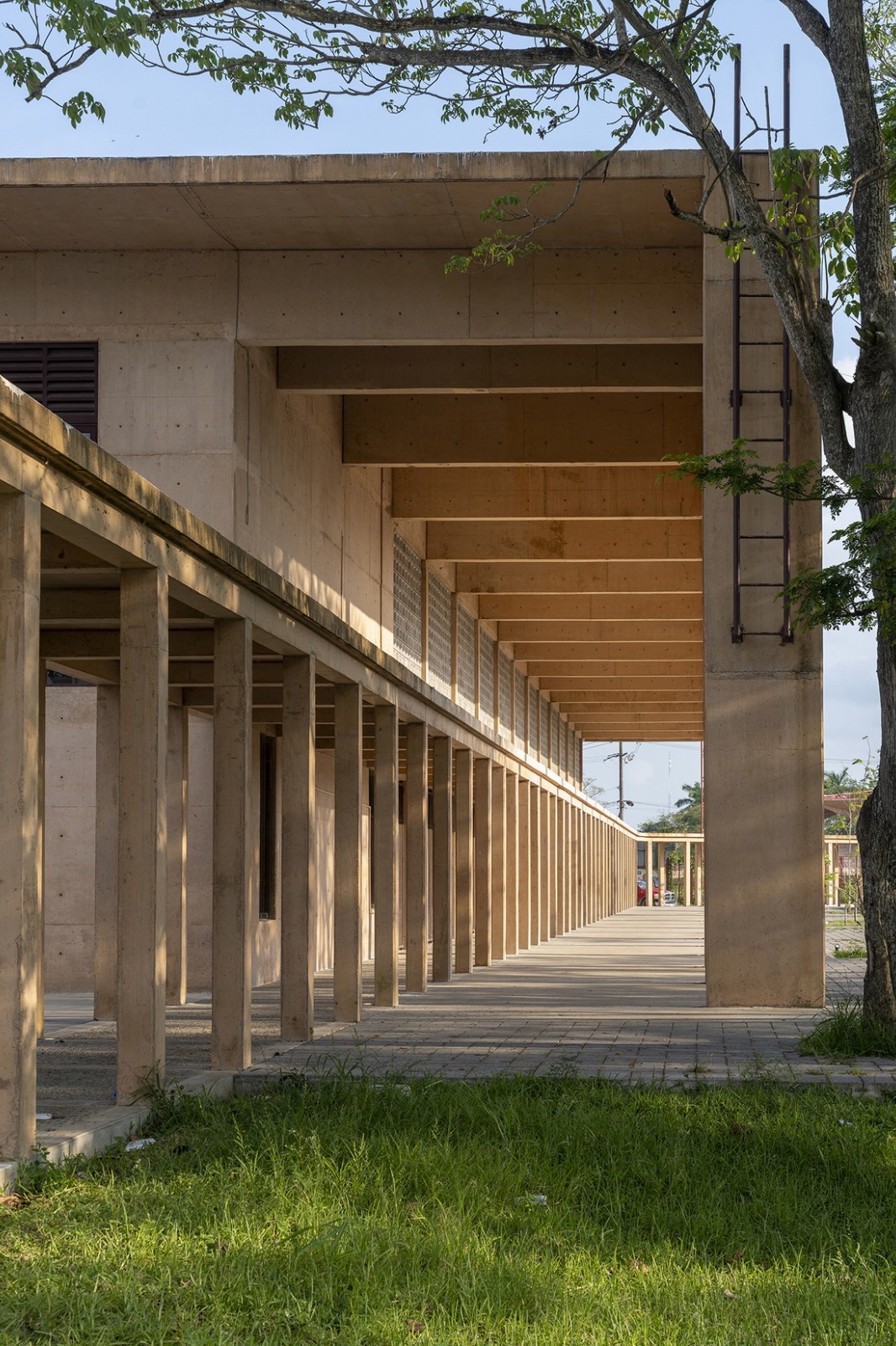 BIM建筑|Manuel Vargas Iziquierdo 棒球场与体育中心 / Bernardo Quinzaños + CCA Centro de Colaboración Arquitectónica BIM建筑|Manuel Vargas Iziquierdo 棒球场与体育中心 / Bernardo Quinzaños + CCA Centro de Colaboración Arquitectónica