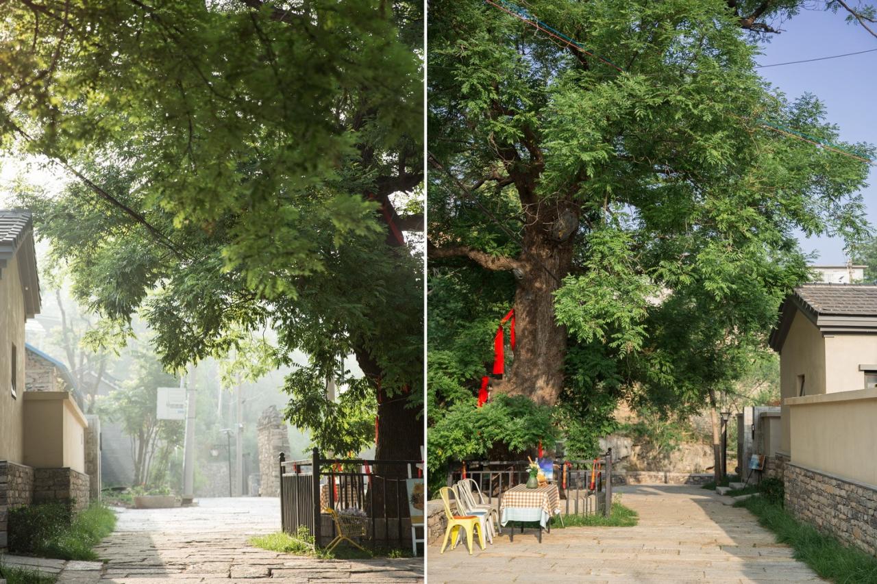 BIM建筑|以景为据:济南东泉村民宿集群设计 / GW空间设计 BIM建筑|以景为据:济南东泉村民宿集群设计 / GW空间设计