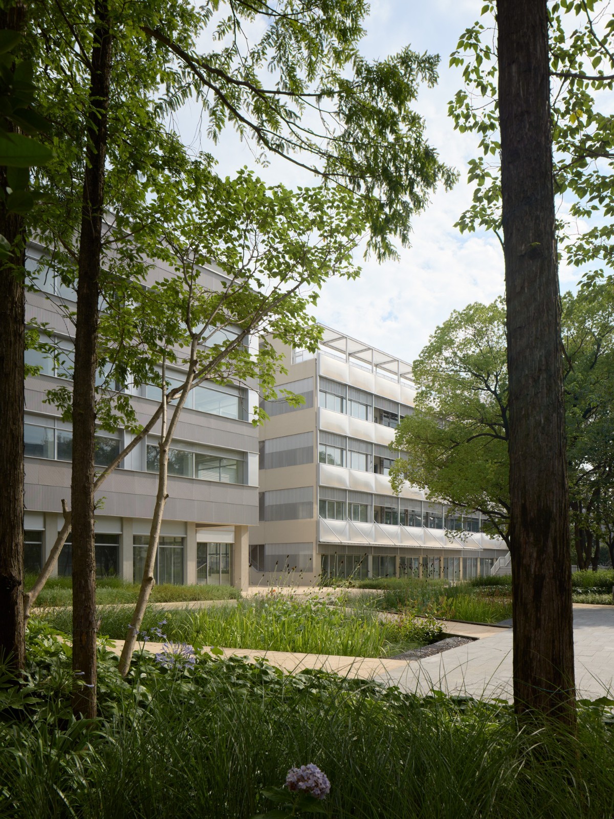 BIM建筑|上海继电器厂改造 / HCCH合尘建筑 BIM建筑|上海继电器厂改造 / HCCH合尘建筑