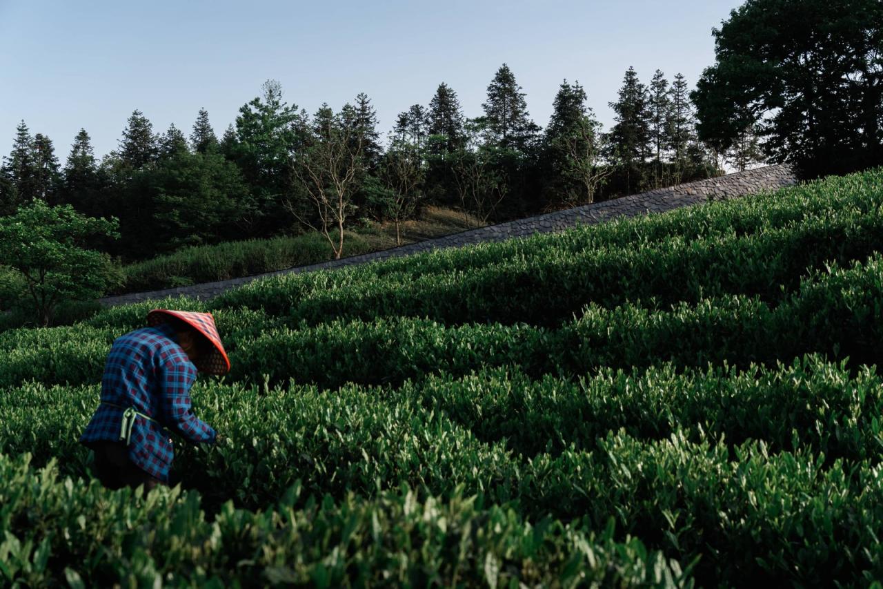BIM建筑|上天入地:下岩贝穿云编木隧&腾云气象环 / 朱培栋-line+建筑事务所 BIM建筑|上天入地:下岩贝穿云编木隧&腾云气象环 / 朱培栋-line+建筑事务所