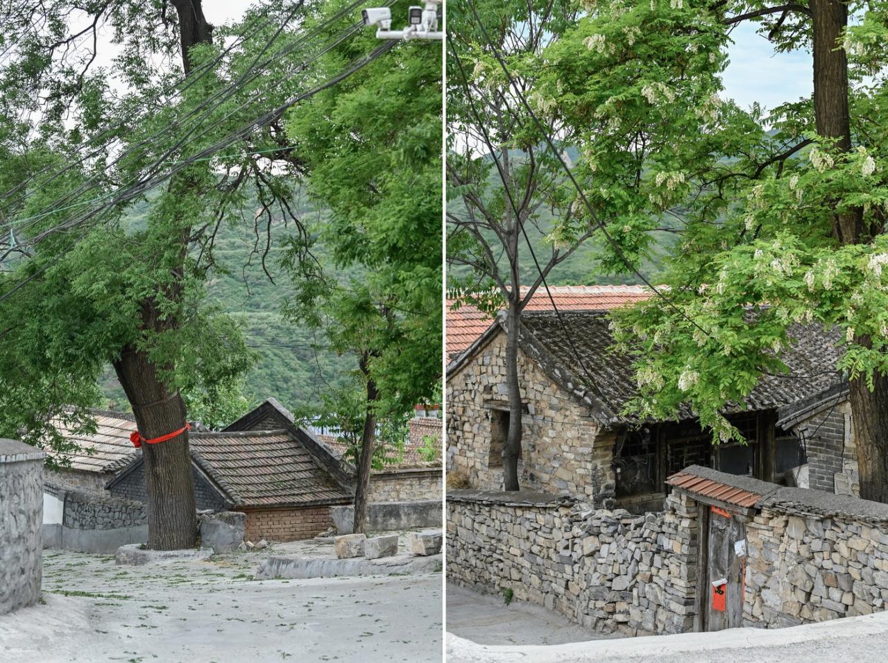 BIM建筑|伴山而居:后院•溜石港民宿 / GW空间设计 BIM建筑|伴山而居:后院•溜石港民宿 / GW空间设计