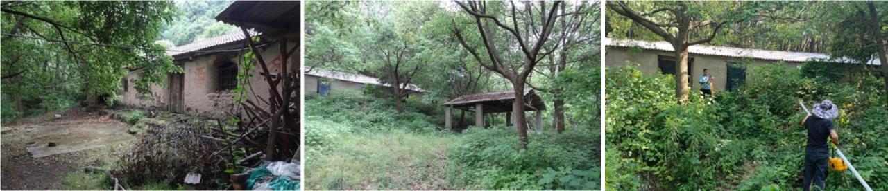 BIM建筑|枕山栖谷,虎凹慢时光:庐江县柯坦镇虎凹欢乐茶谷 / 中铁合肥建筑市政工程设计研究院有限公司 BIM建筑|枕山栖谷,虎凹慢时光:庐江县柯坦镇虎凹欢乐茶谷 / 中铁合肥建筑市政工程设计研究院有限公司