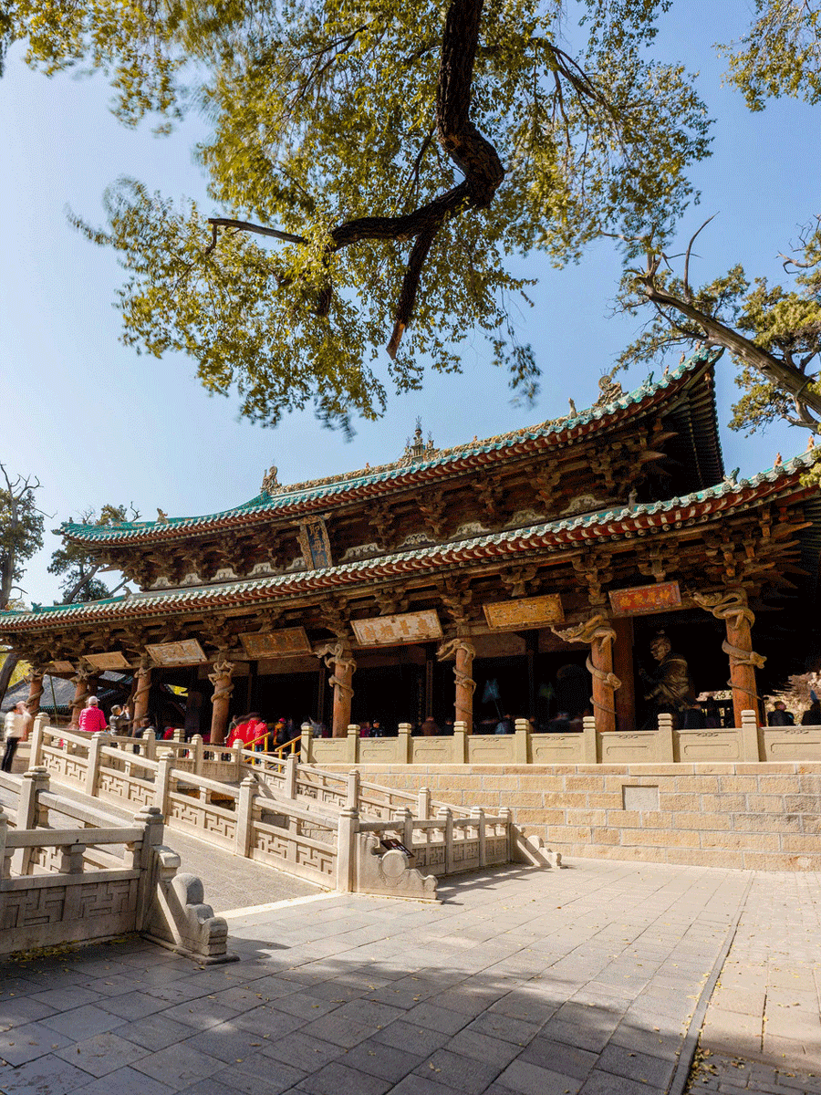 BIM建筑|早鸟价最后一天!去山西,邂逅唐宋古建筑 BIM建筑|早鸟价最后一天!去山西,邂逅唐宋古建筑